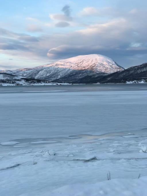Trivelig Fritidshus Pa Arnes, Senja Straumstad Экстерьер фото