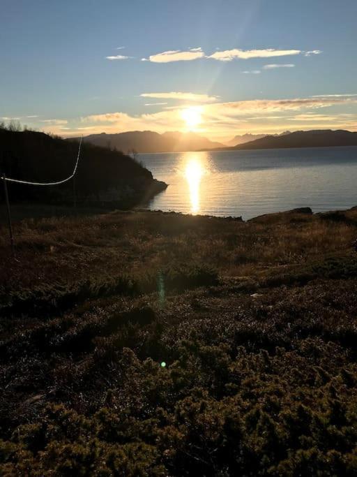 Trivelig Fritidshus Pa Arnes, Senja Straumstad Экстерьер фото